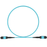 Fiber Optic Patch Cable 40G MPO-12 to MPO-12